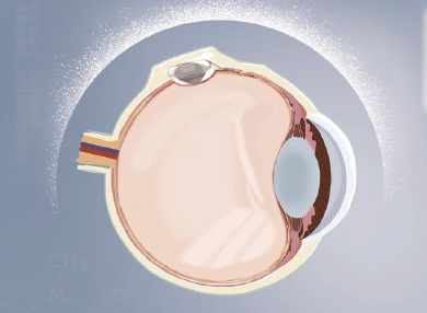 利来·国际(中国)最老牌-中国官网