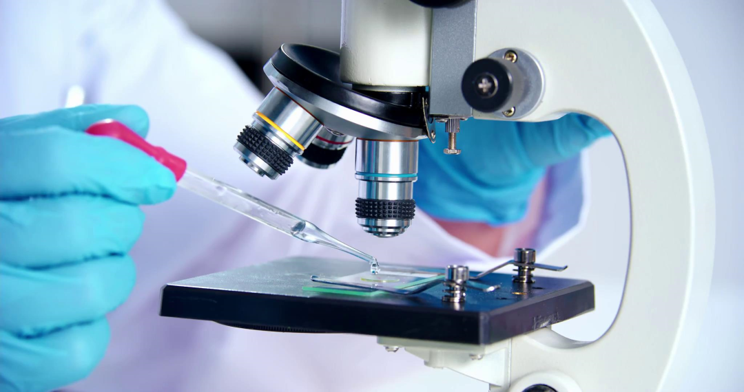 利来·国际(中国)最老牌-中国官网