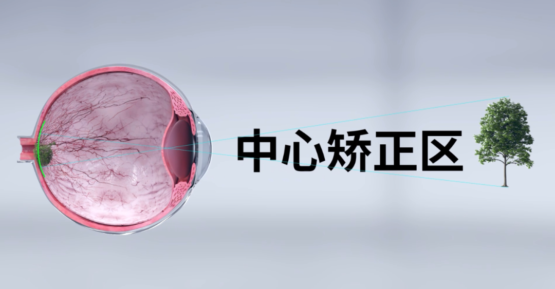 利来·国际(中国)最老牌-中国官网